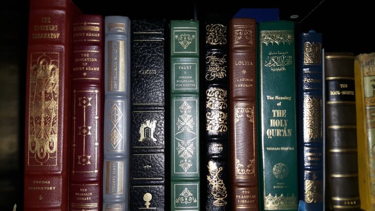 The Role of School Libraries in Promoting Literacy