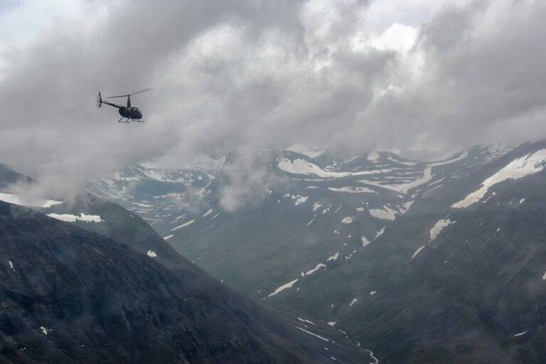 IPL’s Influence on Cricketing Culture: From Street Cricket to Professional Leagues