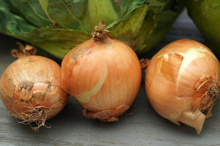 The Psychology of Comfort Food: Why We Crave Certain Dishes