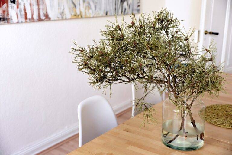 How to Choose the Right Cabinetry for Your Kitchen